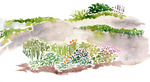 Rock Garden Rock Garden